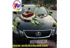 Cho thuê xe Lexus Cho thuê xe Lexus